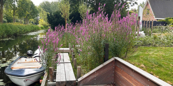 Tuin aan het water
